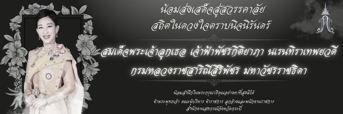 Nxm Sng Serc 2