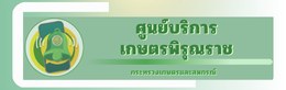 Pirunrajbanner