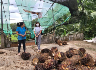 วันที่ 22 ธันวาคม 2566 ... พารามิเตอร์รูปภาพ 3