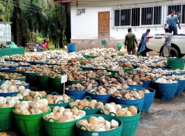 วันที่ 27 ธันวาคม 2566 ร่วมให้การส่งเสริม แนะนำ ... พารามิเตอร์รูปภาพ 3