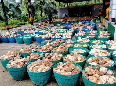 วันที่ 27 ธันวาคม 2566 ร่วมให้การส่งเสริม แนะนำ ... พารามิเตอร์รูปภาพ 4