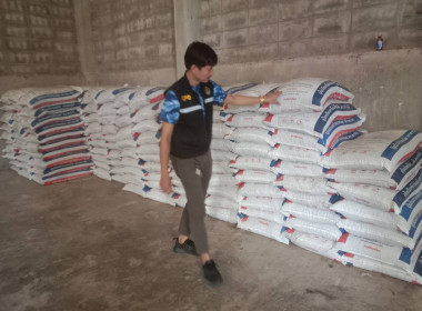 วันที่ 3 มกราคม 2567 ... พารามิเตอร์รูปภาพ 2