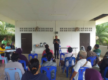 วันที่ 8 กุมภาพันธ์ ... พารามิเตอร์รูปภาพ 7