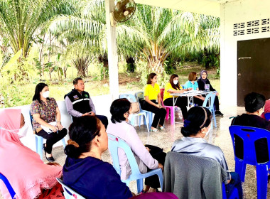 วันที่ 8 กุมภาพันธ์ ... พารามิเตอร์รูปภาพ 15