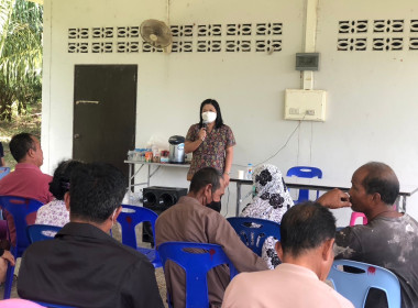 วันที่ 8 กุมภาพันธ์ ... พารามิเตอร์รูปภาพ 16