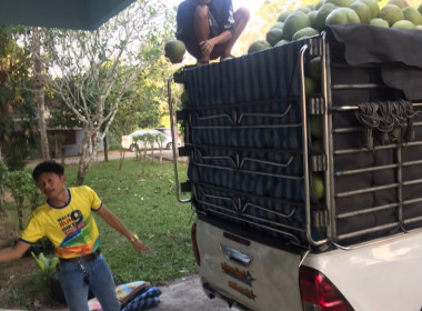 วันที่ 6 กุมภาพันธ์ 2567 ... พารามิเตอร์รูปภาพ 2