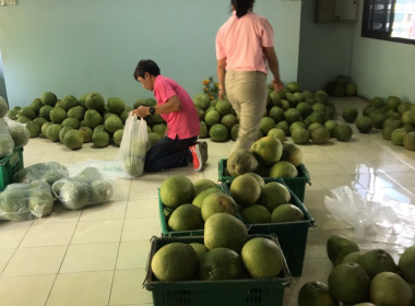 วันที่ 6 กุมภาพันธ์ 2567 ... พารามิเตอร์รูปภาพ 7