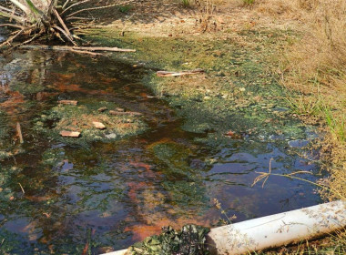 วันที่ 7 กุมภาพันธ์ 2567 ลงพื้นที่เพื่อ ... พารามิเตอร์รูปภาพ 1