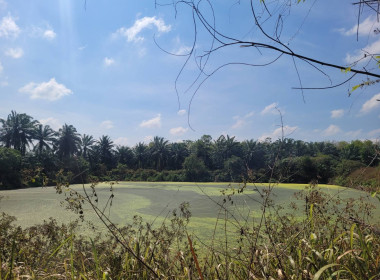 วันที่ 7 กุมภาพันธ์ 2567 ลงพื้นที่เพื่อ ... พารามิเตอร์รูปภาพ 4