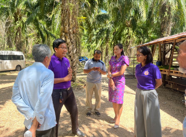 วันที่ 15 กุมภาพันธ์ 2567 ... พารามิเตอร์รูปภาพ 3