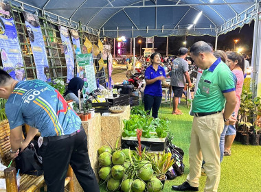 วันที่ 20 กุมภาพันธ์ 2567 ... พารามิเตอร์รูปภาพ 8