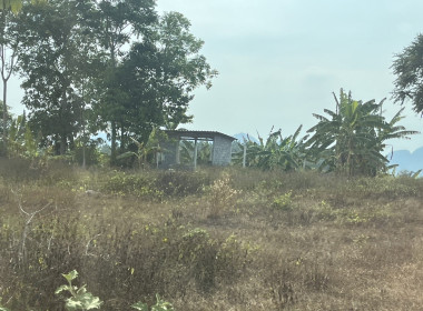 วันที่ 6 มีนาคม 2567 เข้าแนะนำ ... พารามิเตอร์รูปภาพ 4