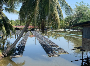 วันที่ 27 มีนาคม 2567 เข้าสำรวจความต้องการอาชีพ ... พารามิเตอร์รูปภาพ 6