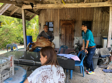 วันที่ 27 มีนาคม 2567 เข้าสำรวจความต้องการอาชีพ ... พารามิเตอร์รูปภาพ 7