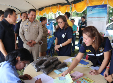 วันที่ 24 เมษายน 2567 ... พารามิเตอร์รูปภาพ 8