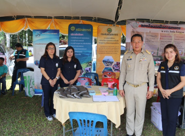 วันที่ 24 เมษายน 2567 ... พารามิเตอร์รูปภาพ 10