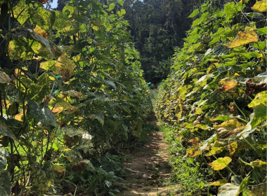 วันที่ 22 กุมภาพันธ์ 2566 นายประเสริฐศักดิ์ ณ นคร ... พารามิเตอร์รูปภาพ 8