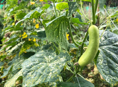 วันที่ 22 กุมภาพันธ์ 2566 นายประเสริฐศักดิ์ ณ นคร ... พารามิเตอร์รูปภาพ 9