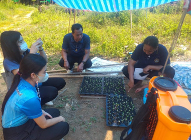 วันที่ 22 กุมภาพันธ์ 2566 นายประเสริฐศักดิ์ ณ นคร ... พารามิเตอร์รูปภาพ 10