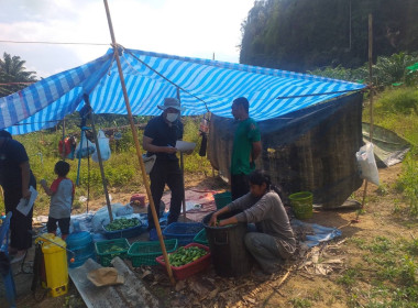 วันที่ 22 กุมภาพันธ์ 2566 นายประเสริฐศักดิ์ ณ นคร ... พารามิเตอร์รูปภาพ 11