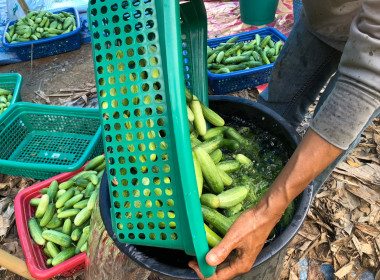 วันที่ 22 กุมภาพันธ์ 2566 นายประเสริฐศักดิ์ ณ นคร ... พารามิเตอร์รูปภาพ 13