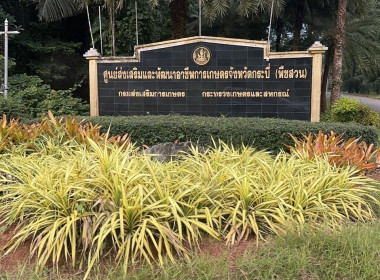 วันที่ 19 กรกฎาคม 2567 ... พารามิเตอร์รูปภาพ 9