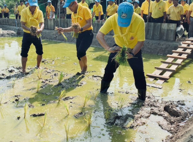 วันที่ 23 กรกฎาคม 2567 เข้าร่วมโครงการ หนอง นา อารยเกษตร ... พารามิเตอร์รูปภาพ 5