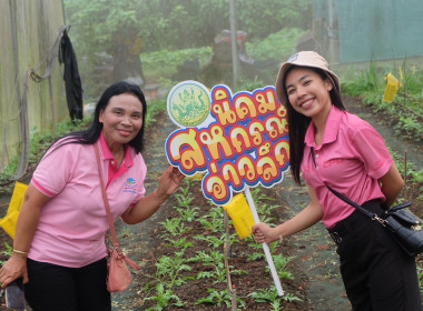 วันที่ 23 กรกฎาคม 2567 ... พารามิเตอร์รูปภาพ 8