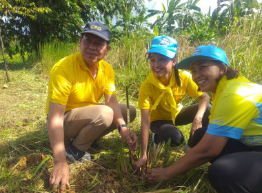 วันที่ 25 กรกฎาคม 2567 ... พารามิเตอร์รูปภาพ 3