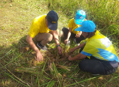 วันที่ 25 กรกฎาคม 2567 ... พารามิเตอร์รูปภาพ 4