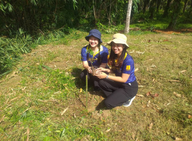 วันที่ 25 กรกฎาคม 2567 ... พารามิเตอร์รูปภาพ 5