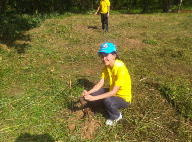 วันที่ 25 กรกฎาคม 2567 ... พารามิเตอร์รูปภาพ 6