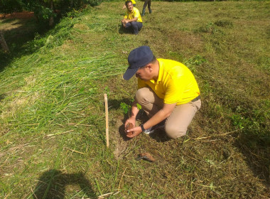 วันที่ 25 กรกฎาคม 2567 ... พารามิเตอร์รูปภาพ 7