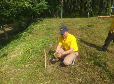 วันที่ 25 กรกฎาคม 2567 ... พารามิเตอร์รูปภาพ 8