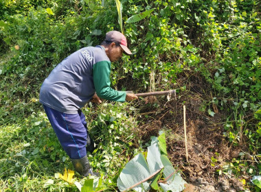 วันที่ 25 กรกฎาคม 2567 ... พารามิเตอร์รูปภาพ 9