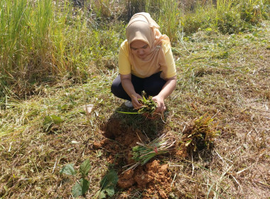 วันที่ 25 กรกฎาคม 2567 ... พารามิเตอร์รูปภาพ 10