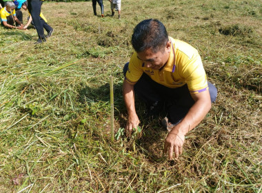 วันที่ 25 กรกฎาคม 2567 ... พารามิเตอร์รูปภาพ 11