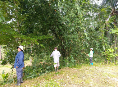 วันที่ 25 กรกฎาคม 2567 ... พารามิเตอร์รูปภาพ 12