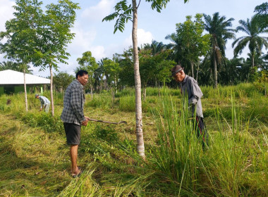 วันที่ 25 กรกฎาคม 2567 ... พารามิเตอร์รูปภาพ 14