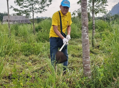 วันที่ 25 กรกฎาคม 2567 ... พารามิเตอร์รูปภาพ 15