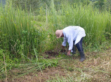 วันที่ 25 กรกฎาคม 2567 ... พารามิเตอร์รูปภาพ 17