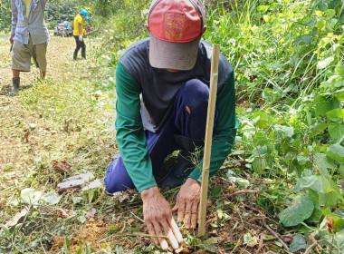 วันที่ 25 กรกฎาคม 2567 ... พารามิเตอร์รูปภาพ 18