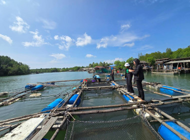 วันที่ 30 ตุลาคม 2567 ลงพื้นที่ติดตามการใช้เงินกู้ ... พารามิเตอร์รูปภาพ 5