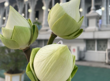 วันที่ 6 มีนาคม 2566 เวลา 19.00 น. นายประเสริฐศักดิ์ ณ นคร ... พารามิเตอร์รูปภาพ 3