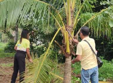 วันที่ 3 ธันวาคม 2567 ร่วมกิจกรรมจิตอาสา big cleaning day ... พารามิเตอร์รูปภาพ 24