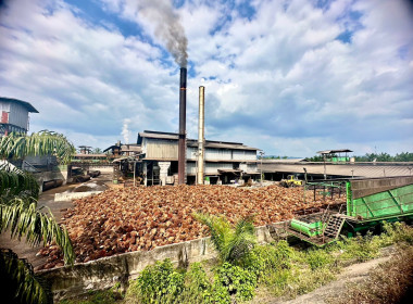 วันที่ 8 มีนาคม 2566 นางรอซนานี สันหมุด ผู้ตรวจราชการกรม ... พารามิเตอร์รูปภาพ 1