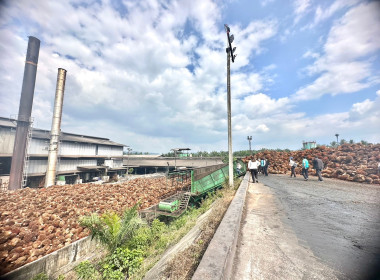 วันที่ 8 มีนาคม 2566 นางรอซนานี สันหมุด ผู้ตรวจราชการกรม ... พารามิเตอร์รูปภาพ 2