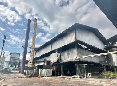 วันที่ 8 มีนาคม 2566 นางรอซนานี สันหมุด ผู้ตรวจราชการกรม ... พารามิเตอร์รูปภาพ 3