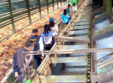 วันที่ 8 มีนาคม 2566 นางรอซนานี สันหมุด ผู้ตรวจราชการกรม ... พารามิเตอร์รูปภาพ 9