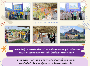 วันที่ 10 มกราคม 2568 ผู้ว่าราชการจังหวัดกระบี่ ... พารามิเตอร์รูปภาพ 7